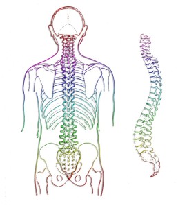 Fisioterapia albano