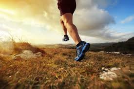 Fisiosportpavona - Fisioterapia Albano Laziale